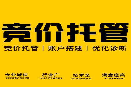 竞价SEM策略在金融行业的成功实践